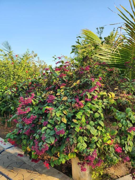 Farmhouse Close To Nature - Kesari Farm Gandhinagar Bagian luar foto